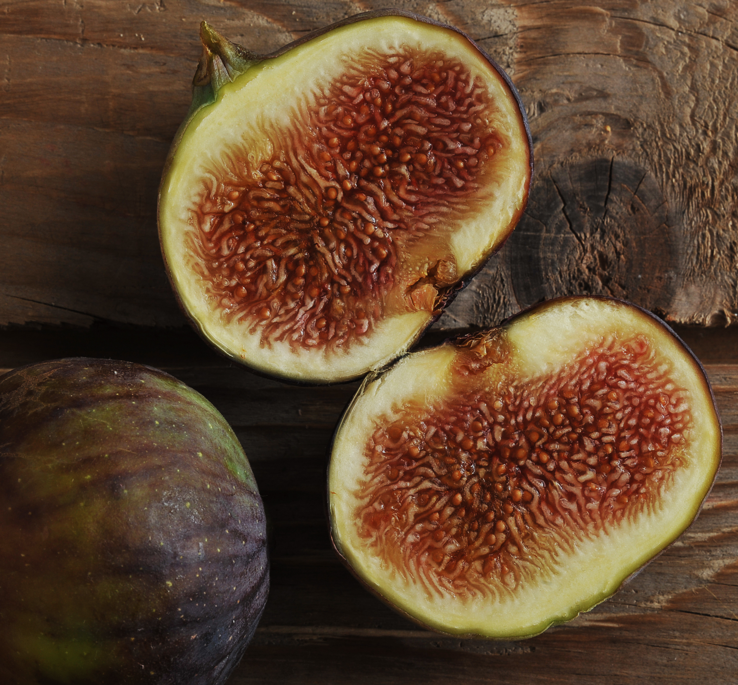 figs.jpg